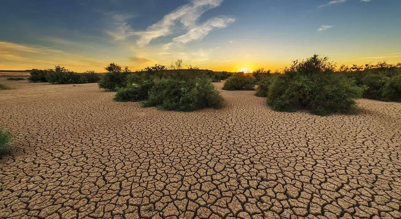 Kuraklıkla Mücadele: Su Tasarrufu ve İklim Değişikliği