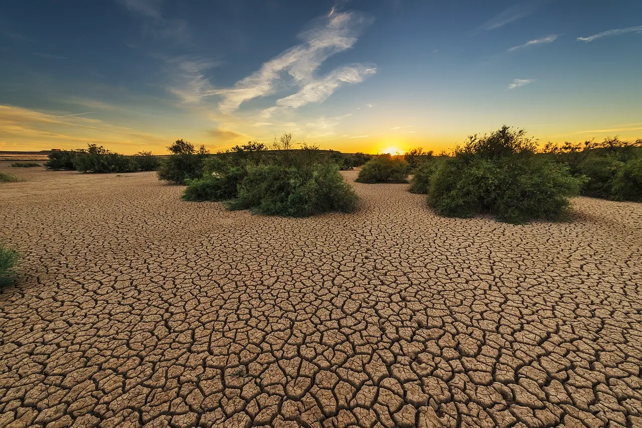 Kuraklıkla Mücadele: Su Tasarrufu ve İklim Değişikliği